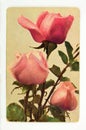 Vintage greeting card with flowers