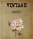 Vintage greeting card with flowers on vintage background