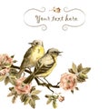 Vintage greeting card with retro birds and roses flowers