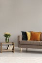 Vintage style grey living room interior with trendy sofa Royalty Free Stock Photo