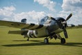 Vintage Grumman Wildcat fighter