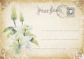 Vintage grunge postcard with flowers. illustration Royalty Free Stock Photo
