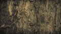 Vintage grunge wood bark texture,surface background Royalty Free Stock Photo