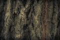 Vintage grunge wood bark texture,surface background