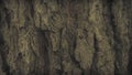 Vintage grunge wood bark texture,surface background Royalty Free Stock Photo