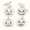 vintage halloween pumpkin collection pencil vector illustration