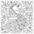 Vintage hand drawn pattern black and white doodle peacock.