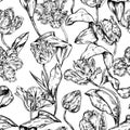 Vintage hand drawn realistic vector tulip seamless Royalty Free Stock Photo