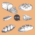 Vintage hand drawn sketch fresh style bakery set. Bread, cream roll tube Royalty Free Stock Photo