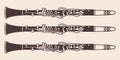 Vintage hand drawn three clarinets in vintage engraved style. Isolated on white background. front view