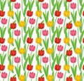 Vintage hand-drawn tulips' pattern