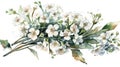 Vintage Hand-Drawn Watercolor of a Gypsophila Branch Isolated on White Background Royalty Free Stock Photo