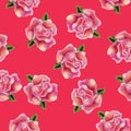 Vintage hand drawn watercolor rose flower seamless pattern Royalty Free Stock Photo