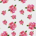 Vintage hand drawn watercolor rose flower seamless pattern Royalty Free Stock Photo