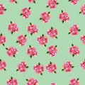 Vintage hand drawn watercolor rose flower seamless pattern Royalty Free Stock Photo