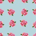 Vintage hand drawn watercolor rose flower seamless pattern Royalty Free Stock Photo