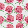 Vintage hand drawn watercolor rose flower seamless pattern Royalty Free Stock Photo