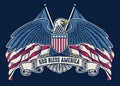 Vintage handdrawn american eagle with flag as background Royalty Free Stock Photo