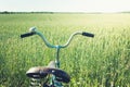 Vintage handlebar with bell on bicycle. Summer day for trip. View of wheat field. Outdoor. Closeup. Royalty Free Stock Photo