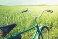 Vintage handlebar with bell on bicycle. Summer day for trip. View of wheat field. Outdoor. Closeup. Royalty Free Stock Photo