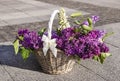 Vintage handmade wicker basket with spring lilac