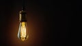 Vintage hanging Edison light bulb over dark background Royalty Free Stock Photo