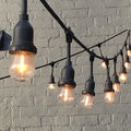 Vintage hanging lamps on white background of wall. Media. Glowing vintage light bulbs of different shapes hang on branch