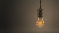 Vintage hanging light bulb