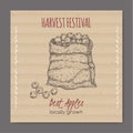 Vintage harvest festival label with apple sack. Royalty Free Stock Photo