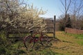 Vintage Bicycle with Scenic Springtime Background Royalty Free Stock Photo