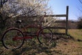 Vintage Bicycle by Rustic Country Fence Royalty Free Stock Photo