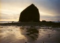 Vintage Haystack Rock