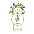 Vintage herbs and spices label collection. Hyssop