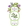 Vintage herbs and spices label collection. Marjoram