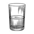 Vintage highball glass isolated on white background. Collin glass hand drawn sketch