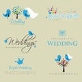 Vintage hipster logo collection for wedding photographer