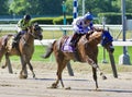 Vintage Hollywood Winning The Kingston Stakes at Historic Belmont Park Royalty Free Stock Photo