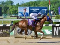 Vintage Hollywood Winning The Kingston Stakes at Historic Belmont Park Royalty Free Stock Photo