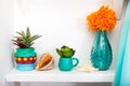 Vintage home decor in Bright colors on white wooden shelf Royalty Free Stock Photo