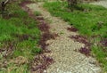 Vintage home garden still life with path in the garden, blooming flowers in spring, botanical nature and cottagecore vintage Royalty Free Stock Photo