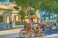 The vintage horse-drawn carriage, Floriana Royalty Free Stock Photo