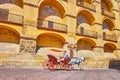 The horse drawn carriage at Mezquita wall, Plaza del Triunfo square, Cordoba, Spain