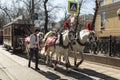 Vintage horse-drawn railway car `Conca` rides along Chistoprudny Boulevard. Exploitation: 1871-1911. A parade of trams in Mosc