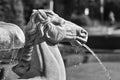 Vintage Horse Fountain at The Broadmoor Hotel in Colorado Springs