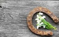 Vintage horseshoe with lily of the valley