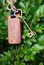 Vintage house key with wooden home keyring on green leaf background, property concept, copy space Royalty Free Stock Photo