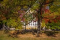 Vintage house viewed behind beauitufl autum tree with multi-colored foliage - interesting shadows and windows Royalty Free Stock Photo