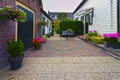 Vintage houses facades with flowers and shared yard