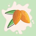 Vintage illustration of almonds for poster or packaging. Ripe fruits with leaves on a light green background for a