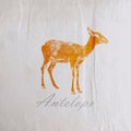 Vintage illustration of an antelope on the old wrinkled paper texture Royalty Free Stock Photo